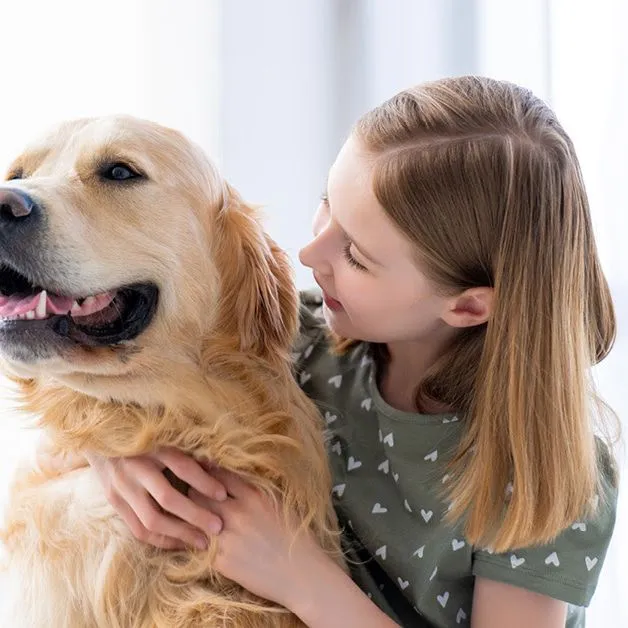 Kislány és golden retriever ölelés.