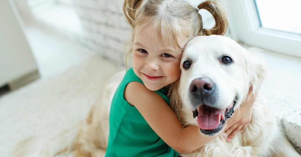 hello baby mire jo a kutyaterapia blog